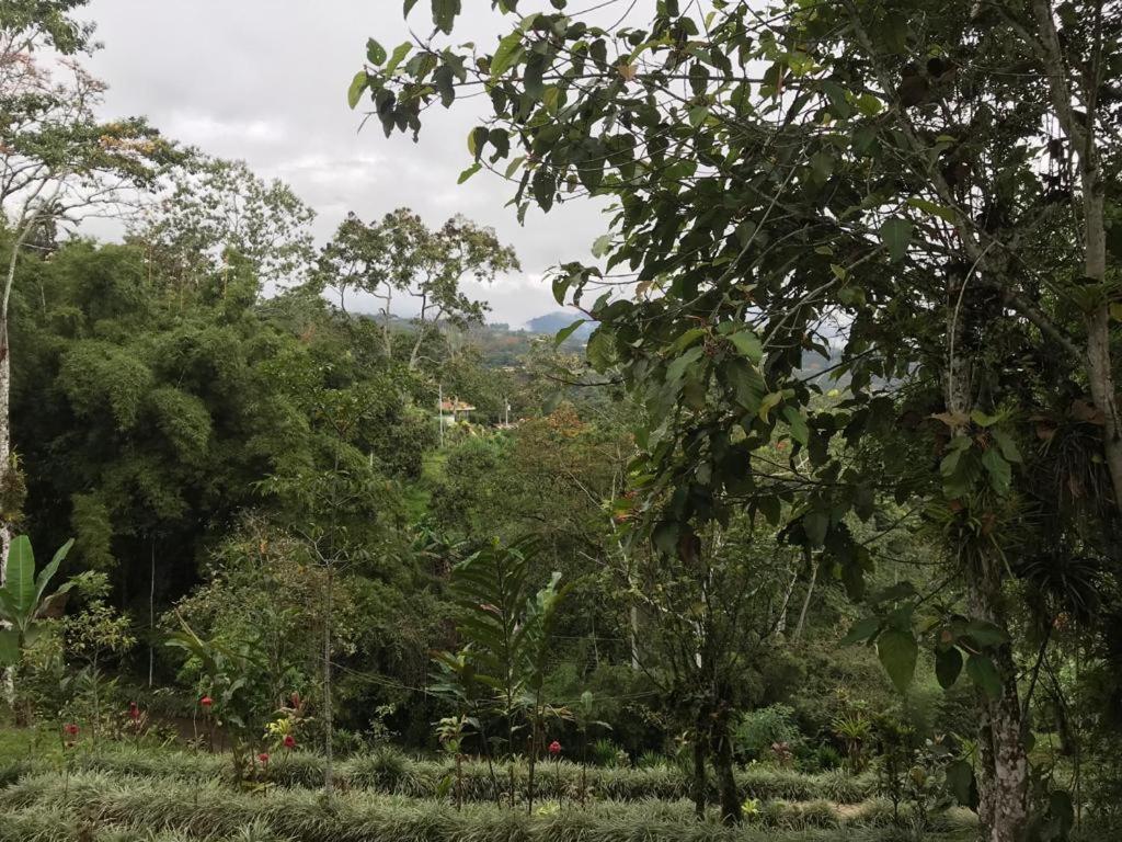 Hotel Green Mountain Turrialba Exterior foto