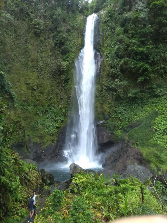 Hotel Green Mountain Turrialba Exterior foto