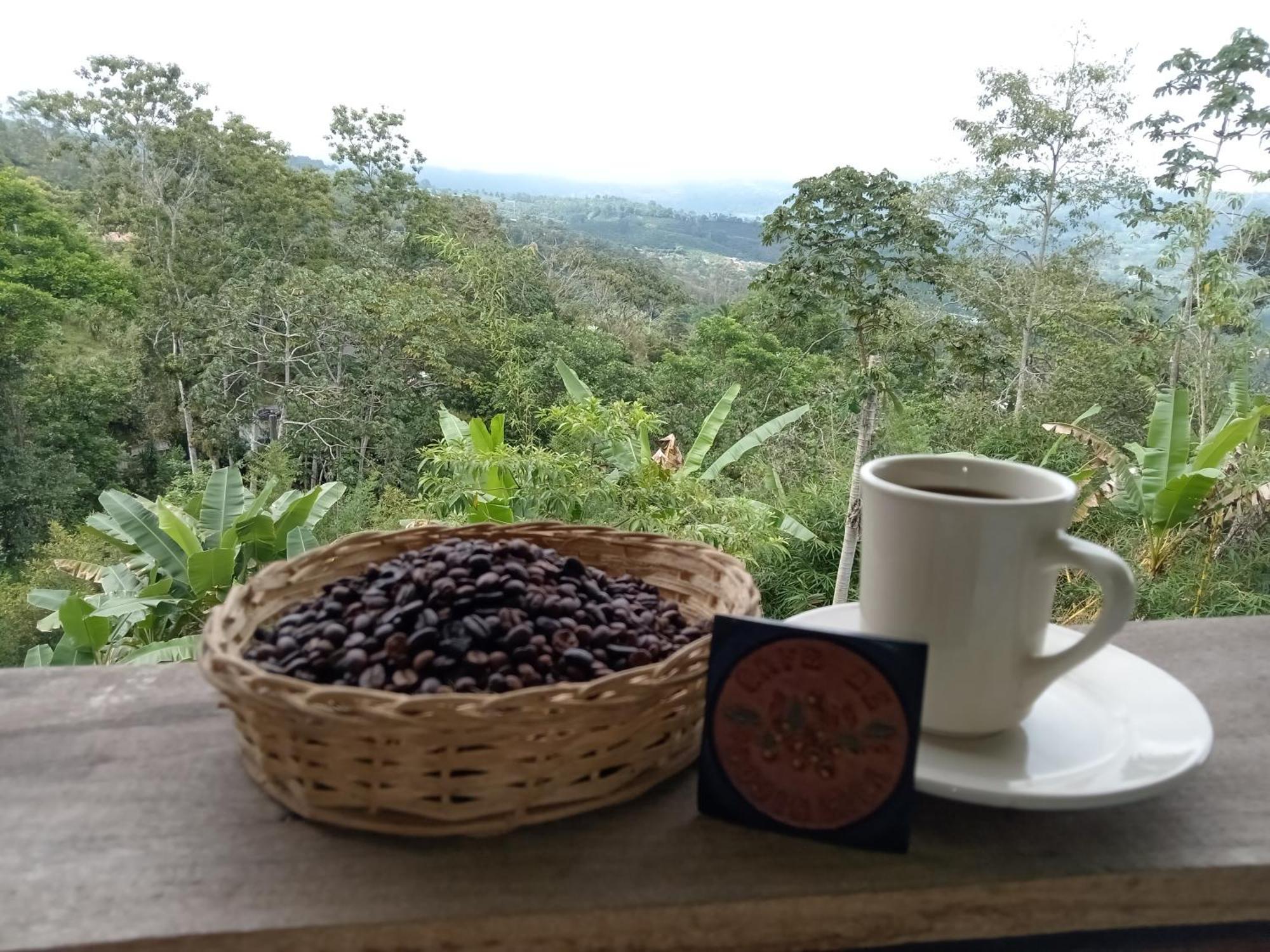 Hotel Green Mountain Turrialba Exterior foto