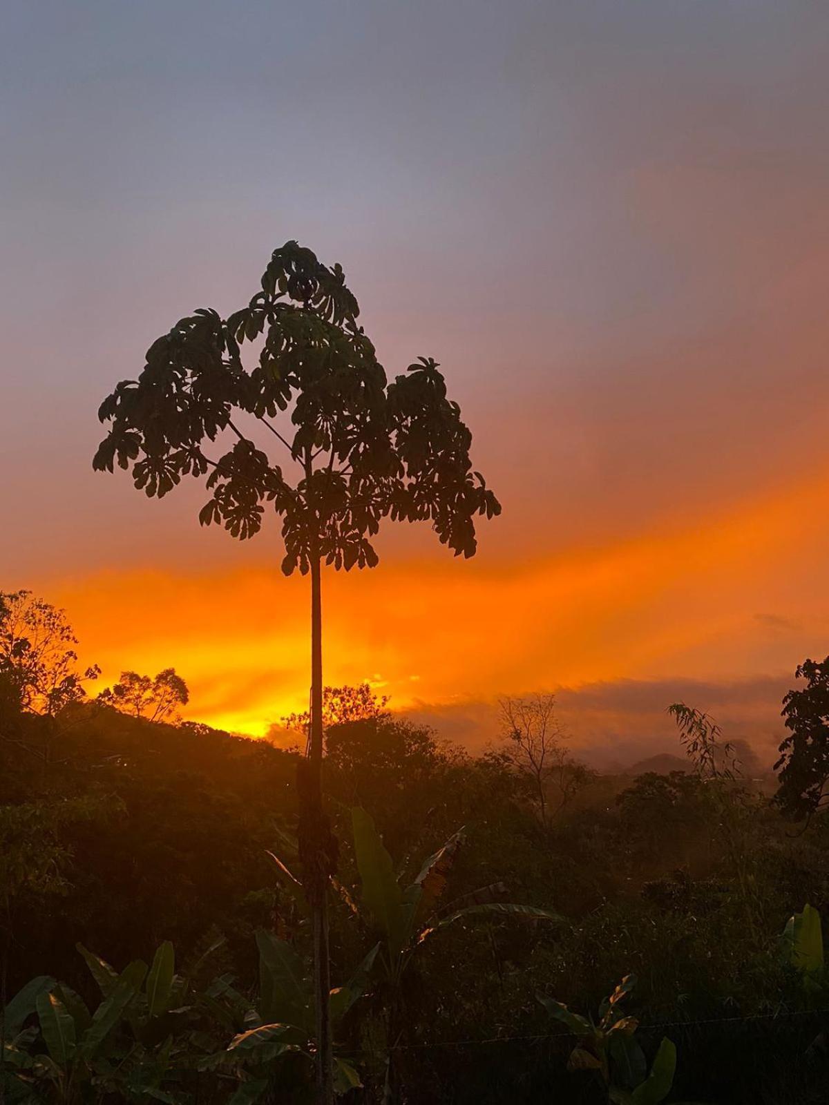 Hotel Green Mountain Turrialba Exterior foto